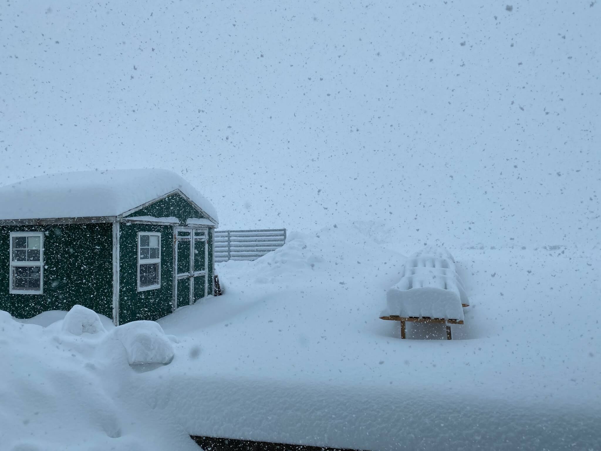 まだまだ大雪。