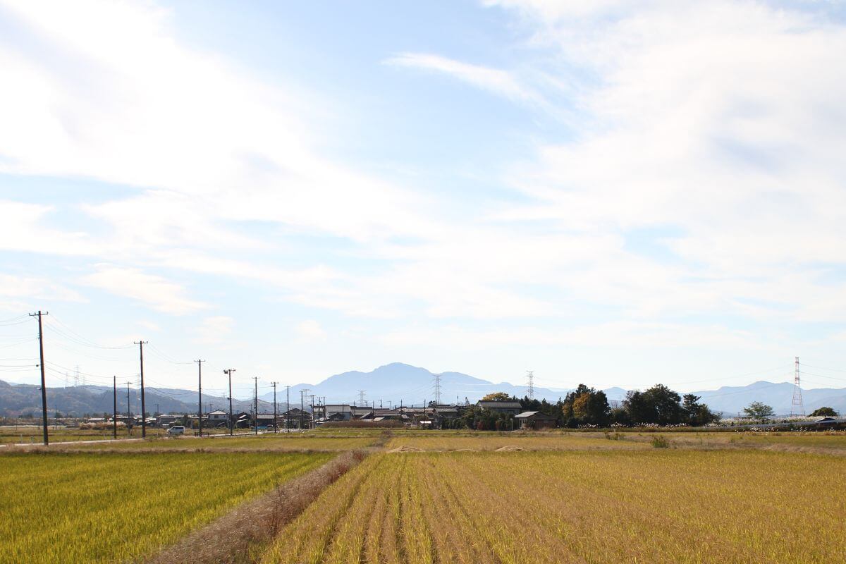 【土地探しで失敗しないために】建築士目線で選ぶポイントとは